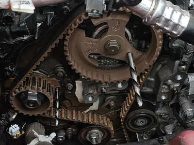Engine Timing Belt 